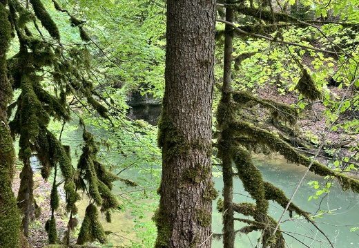 23-05-20 11-47-22 5486